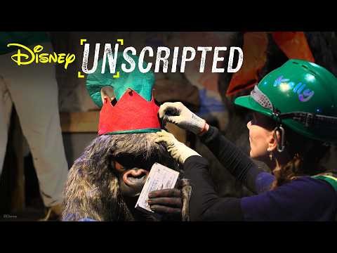 Decking The Docks Before Dawn: Jungle To Jingle Cruise Holiday Makeover | Disney Unscripted