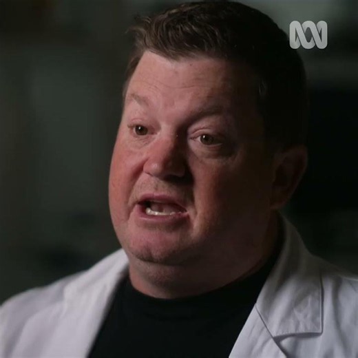 Next Four Corners - Duped: Food Fraud