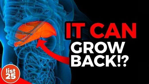 25 intriguing facts to expand your knowledge and spark curiosity