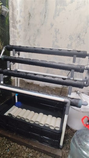 Andrean Aditya | Motion Graphic & Web Designer on Instagram: "Aquaponic."