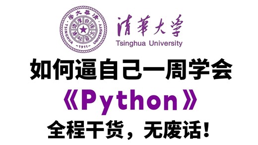 【整整500集】这绝对是B站最全最细的Python零基础全套教程，2026最新版，（涵盖python爬虫与数据分析）七天就能从零基础入门到精通Python！