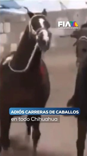 Chihuahua cancela carreras de caballos y eventos por la crisis de seguridad