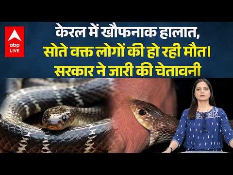 Snake Attack: केरल में 'Silent Death' का साया! सोते हुए लोगों को बना रहे निशाना! |ABPLIVE