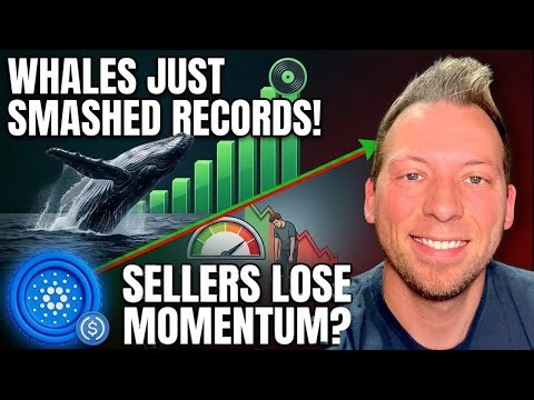 CARDANO ADA - Whales Just Smashed Records! Sellers Lose Momentum?! USDCX Minting!