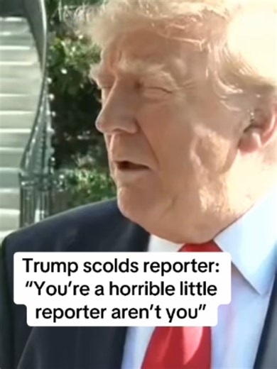 Trump scolds reporter during media gaggle: