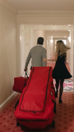 This EZ Roller Christmas Tree Storage Bag saves you time, space, and effort! Just add your tree in, zip it up, and wheel it away until next year. #christmasdecor #christmastree #christmastreestorage #organizedstorage #storagehacks | Christmas World