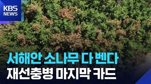 서해안 휩쓴 소나무재선충병…“모두 베고 수종 바꾼다” / KBS 2026.10.02