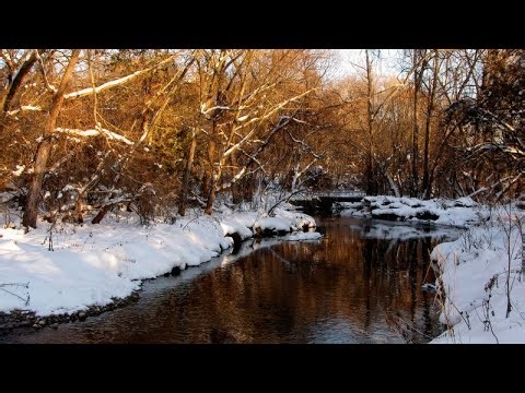 Bechtel Park Winterscape Panoramas, Waterloo ON Canada