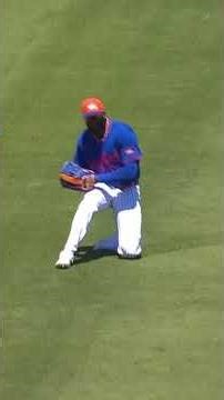 Luis Robert Jr. with the sliding catch! 👏