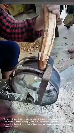 Traditional Cassava Grating: Turning Cassava into Fine Flakes!