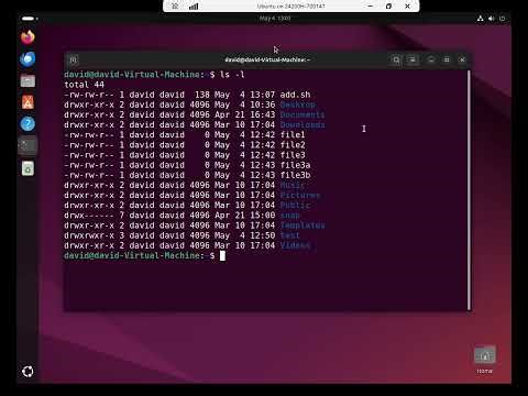 Creating a basic shell script in Linux