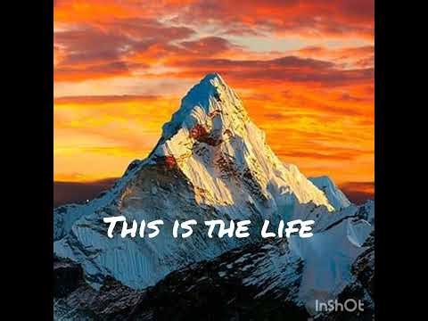 Amy Macdonald - This Is The Life (Official Video