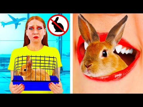 Sneak Pets Into The Plane | Crazy Challenge by PaRaRa