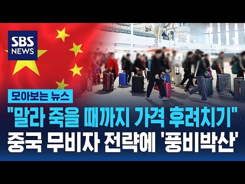 "말라 죽을 때까지 가격 후려치기"..중국 무비자 전략에 '풍비박산' / SBS / 모아보는 뉴스