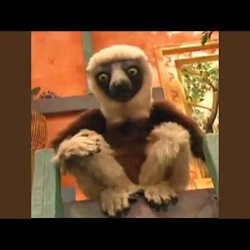 zoboomafoo
