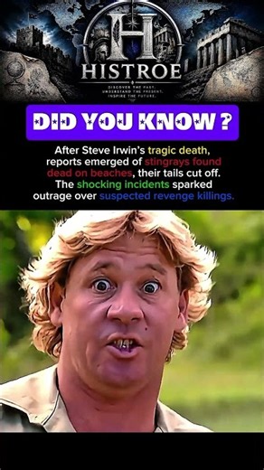 Steve Irwin’s Death Sparked Outrage
