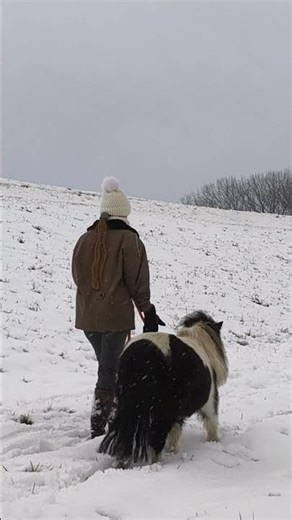 Skittles & Smarties in de sneeuw #short #pptv