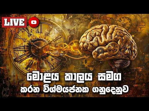 මිනිස් මොළය කාලය සමග කරන විශ්මයජනක ගනුදෙනුව