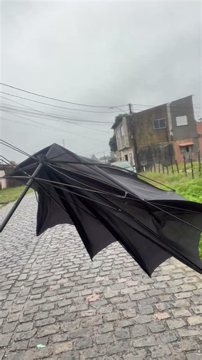 Strong Gust of Wind Destroys Man's Umbrella Mid Commute