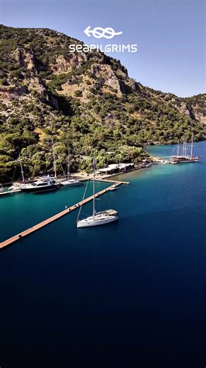 Sailing Adventures: A Bird's Eye View