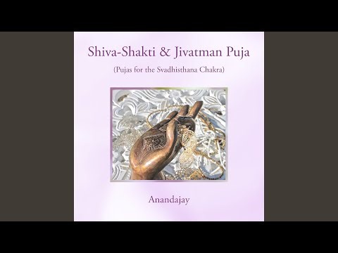 Shiva-Shakti Puja