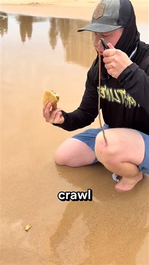 #bts