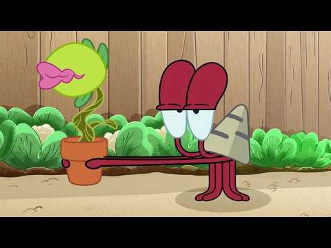 Zig & Sharko | Bernie Won’t Garden! | BEST CARTOON COLLECTION | New Episodes in HD