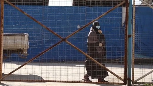 Sky News host Rita Panahi has questioned months-long federal and state briefings on returning ISIS brides, saying the plans were more advanced than previously claimed. | Sky News Australia