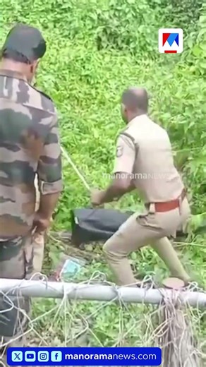 കോഴിയെ വിഴുങ്ങിയ പെരുമ്പാമ്പിനെ ഫോഴ്സ് പിടികൂടി |Python