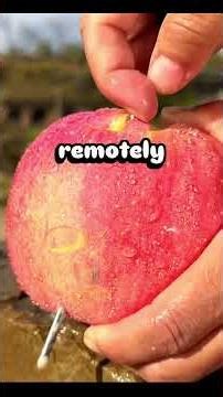 I found a hidden camera in my $500-a-night Airbnb, and it led to a massive dark web investigation.