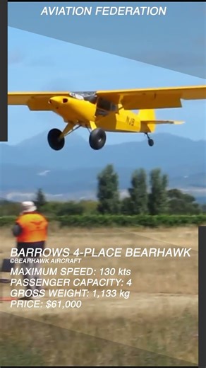Barrows 4 Place Bearhawk | Backcountry Capability Meets Homebuilt Versatility