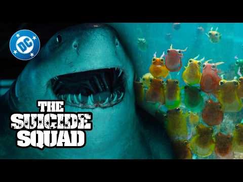 The Suicide Squad - King Shark's aquarium homies 🦈 | DC