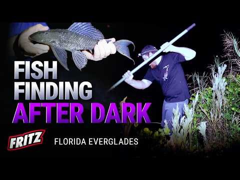 Everglades After Dark: Here's What We Found!