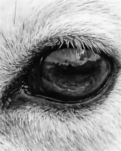 Kanye West Concert Teaser in Italy: Exciting Details!