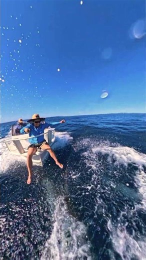 Amazing Dolphin Encounter 🎬 Danielle Scott #GoPro