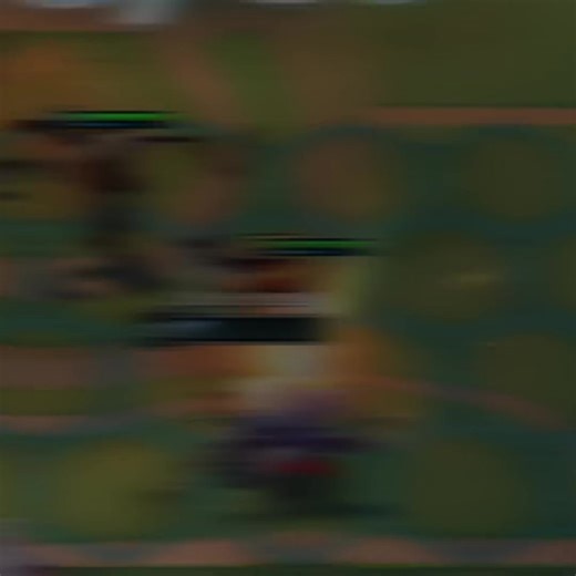 Chú Xám Hắc Diệt Đế Vương TFT và Spam 5 Vàng 3 Sao