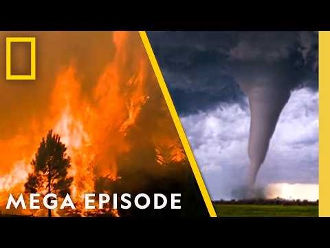 Global Disasters | Witness to Disaster MEGA Episode | National Geographic