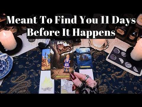 MEANT TO FIND YOU 11 DAYS BEFORE IT HAPPENS