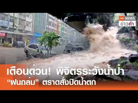 เตือนด่วน! พิจิตรระวังน้ำป่า “ฝนถล่ม” ตราดสั่งปิดน้ำตก | TNN ข่าวค่ำ | 5 ก.ค. 69