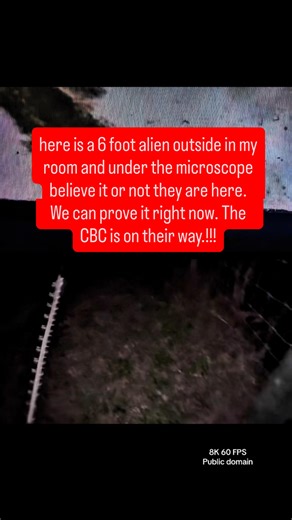 Brian Ladd on Instagram: "Breaking news, the CDC is on their way. They’re actually flying off the slide right now in front of me. There are little teeny aliens flying off the slides they do not have wings. This is completely real. We can prove it. This is breaking news St. Lucie County Florida. this is my alien experiment for January 29, 2026 Port St. Lucie Florida. There are three different species flying around the room. They are very small compared to the ones that are outside again. They are