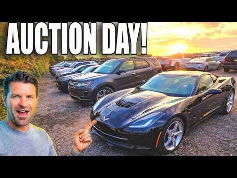 I went to a DEALER AUCTION to try and buy a CHEAP CORVETTE