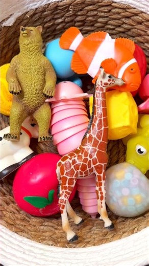 AMAZING Facts about Zoo Animal- Giraffe Clownfish Bear #didyouknow