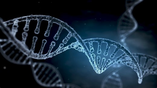 Humans weren’t alone and the evidence is still in our DNA