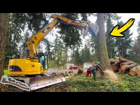 We Saved the Biggest Trees for Last! Big Lot Clearing Logging Job — Part 2