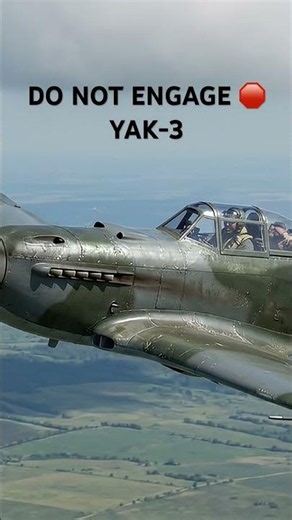 The Fighter the Luftwaffe Was Ordered to Avoid: Yak-3 🛑 #ww2 #aviation #shorts