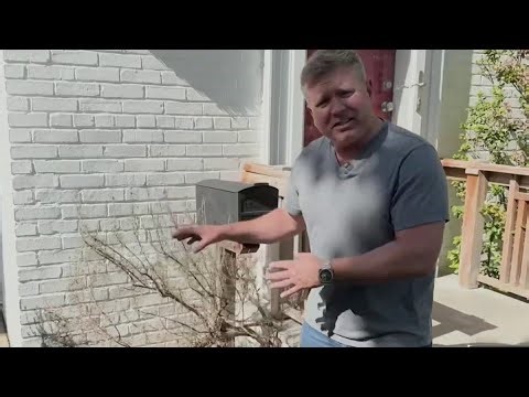 Science 4 Everyone: Why aren't your plants growing back after the winter? | NBC4 Washington