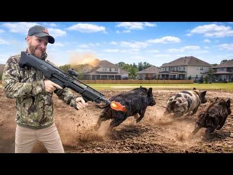 These Trap-Shy Hogs Made Me Do Something I Don't Normally Do...