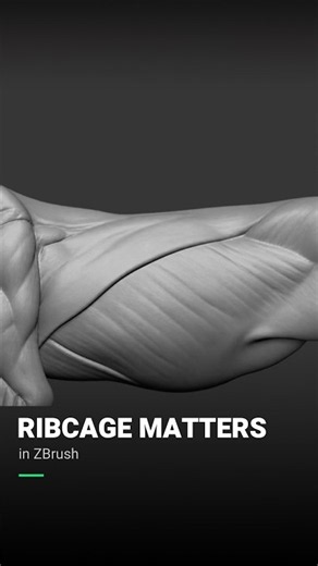 Why the Ribcage Matters in Creature Sculpting | ZBrush Anatomy