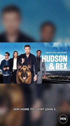 John Reardon Is Back! Hudson & Rex Cast Reacts to His Return #Shorts