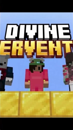 SB737 entered the END on the LIFESTEAL SMP